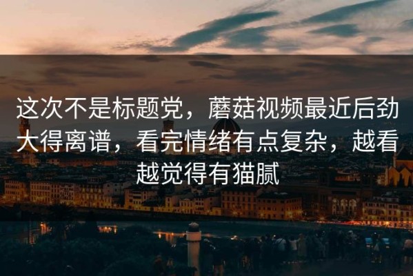 这次不是标题党，蘑菇视频最近后劲大得离谱，看完情绪有点复杂，越看越觉得有猫腻