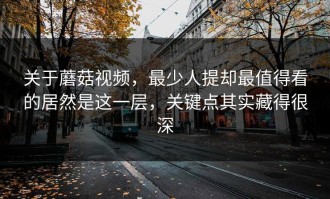 关于蘑菇视频，最少人提却最值得看的居然是这一层，关键点其实藏得很深