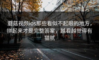 蘑菇视频ios那些看似不起眼的地方，拼起来才是完整答案，越看越觉得有猫腻