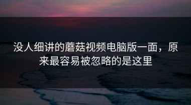 没人细讲的蘑菇视频电脑版一面，原来最容易被忽略的是这里