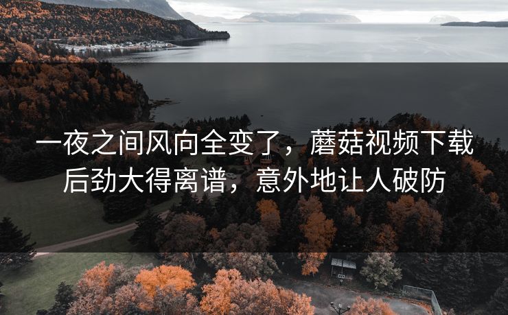 一夜之间风向全变了，蘑菇视频下载后劲大得离谱，意外地让人破防