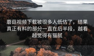 蘑菇视频下载被很多人低估了，结果真正有料的部分一直在后半段，越看越觉得有猫腻