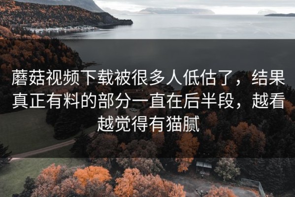 蘑菇视频下载被很多人低估了，结果真正有料的部分一直在后半段，越看越觉得有猫腻