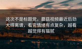 这次不是标题党，蘑菇视频最近后劲大得离谱，看完情绪有点复杂，越看越觉得有猫腻