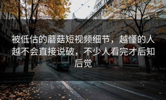 被低估的蘑菇短视频细节，越懂的人越不会直接说破，不少人看完才后知后觉