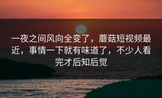 一夜之间风向全变了，蘑菇短视频最近，事情一下就有味道了，不少人看完才后知后觉