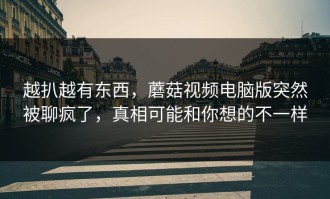 越扒越有东西，蘑菇视频电脑版突然被聊疯了，真相可能和你想的不一样