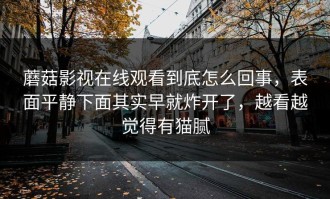 蘑菇影视在线观看到底怎么回事，表面平静下面其实早就炸开了，越看越觉得有猫腻