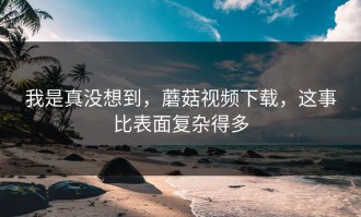 我是真没想到，蘑菇视频下载，这事比表面复杂得多