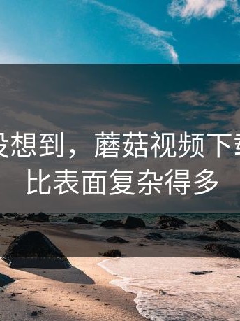 我是真没想到，蘑菇视频下载，这事比表面复杂得多