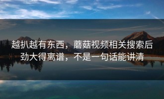 越扒越有东西，蘑菇视频相关搜索后劲大得离谱，不是一句话能讲清