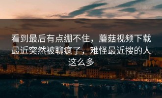 看到最后有点绷不住，蘑菇视频下载最近突然被聊疯了，难怪最近搜的人这么多