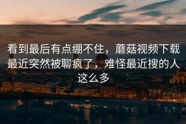 看到最后有点绷不住，蘑菇视频下载最近突然被聊疯了，难怪最近搜的人这么多