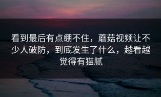 看到最后有点绷不住，蘑菇视频让不少人破防，到底发生了什么，越看越觉得有猫腻