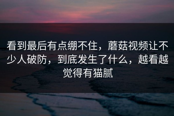 看到最后有点绷不住，蘑菇视频让不少人破防，到底发生了什么，越看越觉得有猫腻