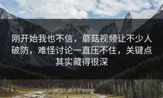 刚开始我也不信，蘑菇视频让不少人破防，难怪讨论一直压不住，关键点其实藏得很深