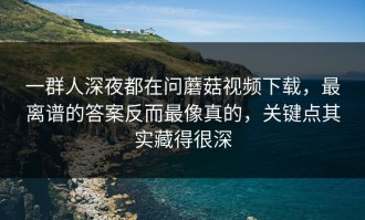 一群人深夜都在问蘑菇视频下载，最离谱的答案反而最像真的，关键点其实藏得很深