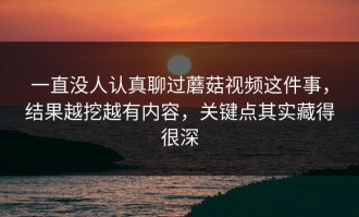 一直没人认真聊过蘑菇视频这件事，结果越挖越有内容，关键点其实藏得很深