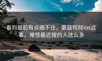 看到最后有点绷不住，蘑菇视频ios这事，难怪最近搜的人这么多