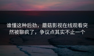 谁懂这种后劲，蘑菇影视在线观看突然被聊疯了，争议点其实不止一个