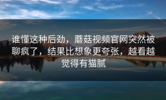 谁懂这种后劲，蘑菇视频官网突然被聊疯了，结果比想象更夸张，越看越觉得有猫腻