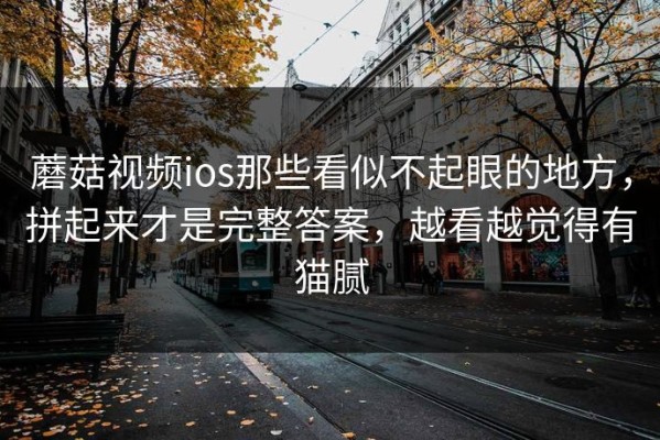 蘑菇视频ios那些看似不起眼的地方，拼起来才是完整答案，越看越觉得有猫腻