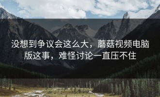 没想到争议会这么大，蘑菇视频电脑版这事，难怪讨论一直压不住