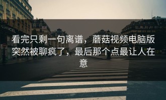 看完只剩一句离谱，蘑菇视频电脑版突然被聊疯了，最后那个点最让人在意