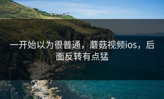一开始以为很普通，蘑菇视频ios，后面反转有点猛