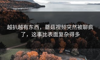 越扒越有东西，蘑菇视频突然被聊疯了，这事比表面复杂得多