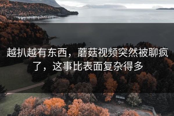 越扒越有东西，蘑菇视频突然被聊疯了，这事比表面复杂得多