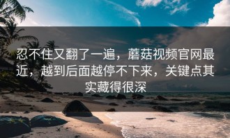 忍不住又翻了一遍，蘑菇视频官网最近，越到后面越停不下来，关键点其实藏得很深