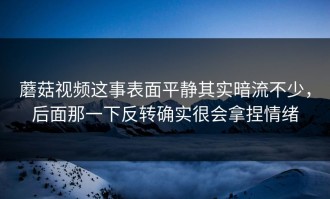 蘑菇视频这事表面平静其实暗流不少，后面那一下反转确实很会拿捏情绪
