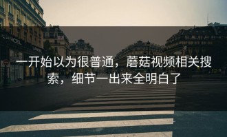 一开始以为很普通，蘑菇视频相关搜索，细节一出来全明白了
