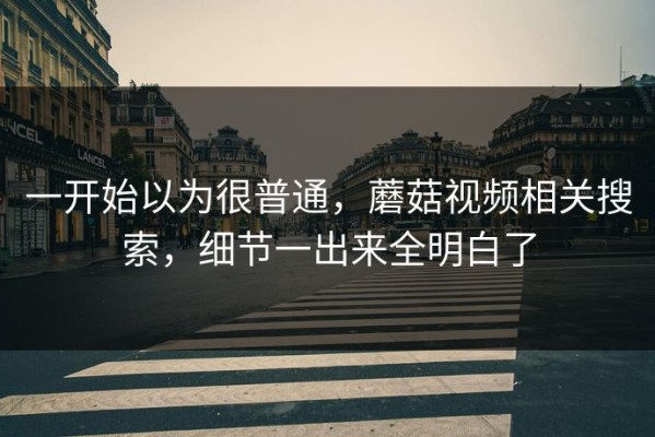 一开始以为很普通，蘑菇视频相关搜索，细节一出来全明白了