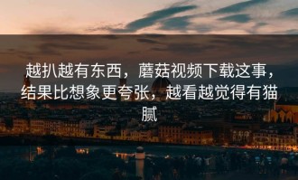 越扒越有东西，蘑菇视频下载这事，结果比想象更夸张，越看越觉得有猫腻