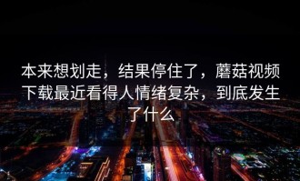 本来想划走，结果停住了，蘑菇视频下载最近看得人情绪复杂，到底发生了什么