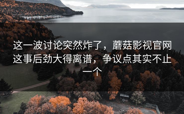 这一波讨论突然炸了，蘑菇影视官网这事后劲大得离谱，争议点其实不止一个