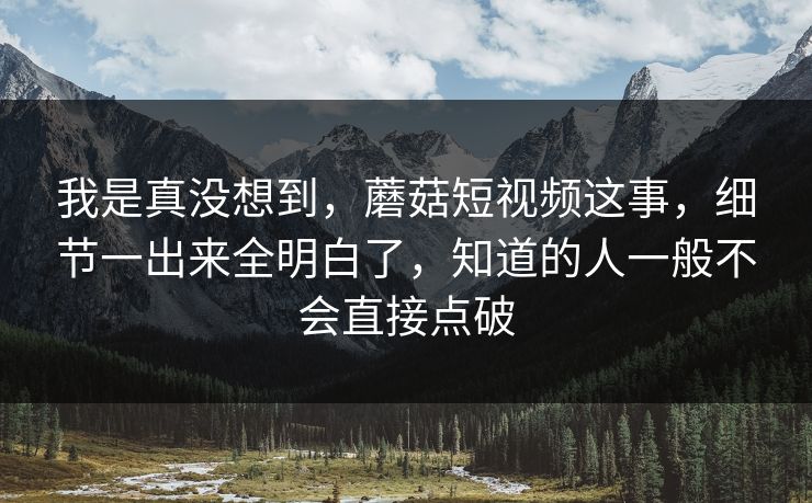 我是真没想到，蘑菇短视频这事，细节一出来全明白了，知道的人一般不会直接点破