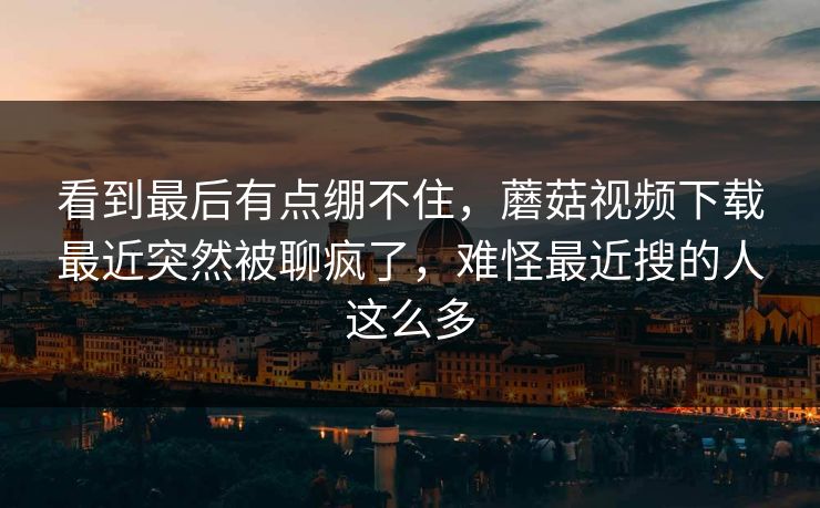 看到最后有点绷不住，蘑菇视频下载最近突然被聊疯了，难怪最近搜的人这么多