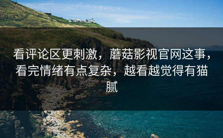 看评论区更刺激，蘑菇影视官网这事，看完情绪有点复杂，越看越觉得有猫腻