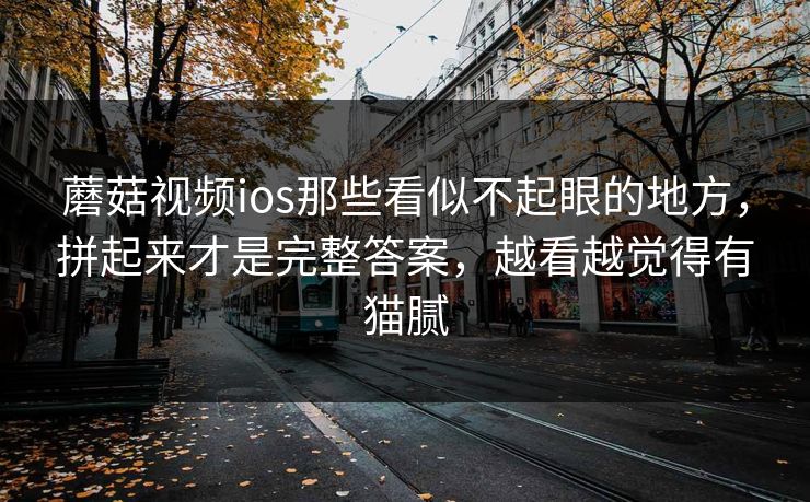 蘑菇视频ios那些看似不起眼的地方，拼起来才是完整答案，越看越觉得有猫腻