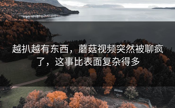 越扒越有东西，蘑菇视频突然被聊疯了，这事比表面复杂得多