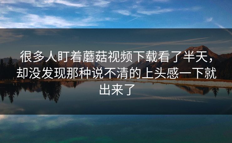 很多人盯着蘑菇视频下载看了半天，却没发现那种说不清的上头感一下就出来了