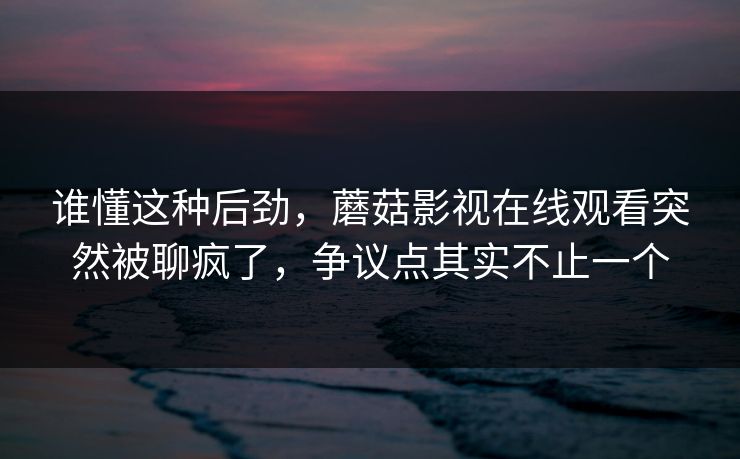 谁懂这种后劲，蘑菇影视在线观看突然被聊疯了，争议点其实不止一个