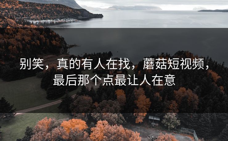 别笑，真的有人在找，蘑菇短视频，最后那个点最让人在意