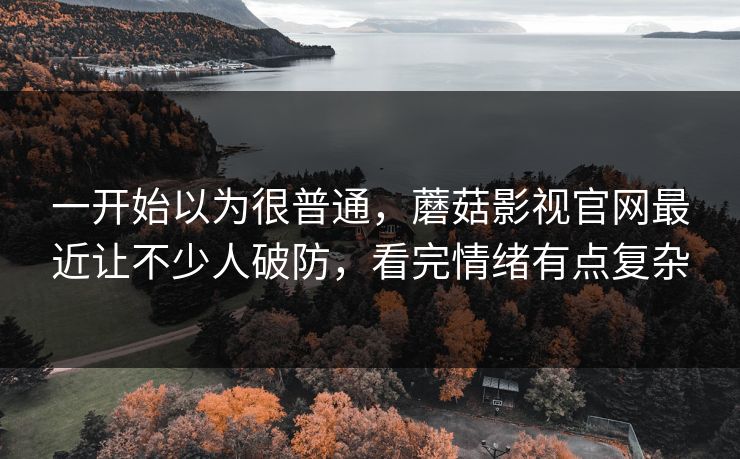 一开始以为很普通，蘑菇影视官网最近让不少人破防，看完情绪有点复杂