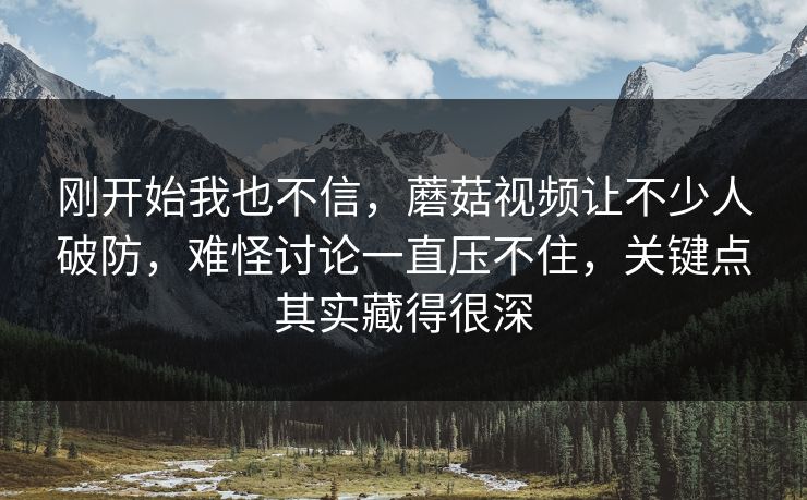 刚开始我也不信，蘑菇视频让不少人破防，难怪讨论一直压不住，关键点其实藏得很深