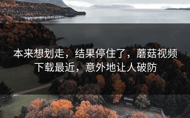 本来想划走，结果停住了，蘑菇视频下载最近，意外地让人破防