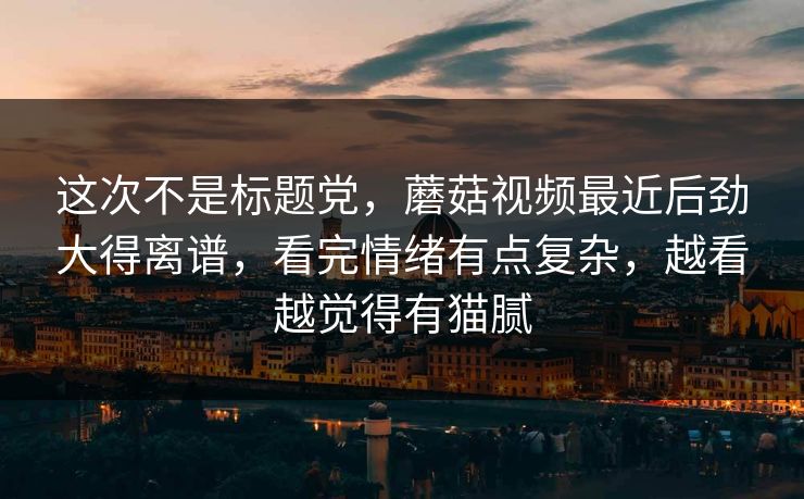 这次不是标题党,蘑菇视频最近后劲大得离谱,看完情绪有点复杂,越看越觉得有猫腻 这次不是标题党,蘑菇视频最近后劲大得离谱,看完情绪有点复杂,越看越觉得有猫腻